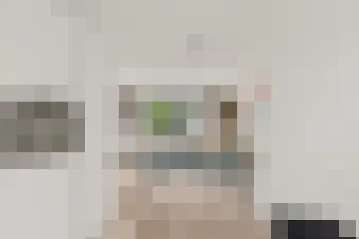 Vlastiende 4 Lekkerkerk thumbnail 5