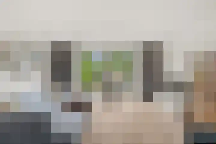 Vlastiende 4 Lekkerkerk thumbnail 7