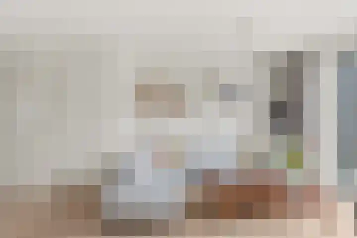 Vlastiende 4 Lekkerkerk thumbnail 8