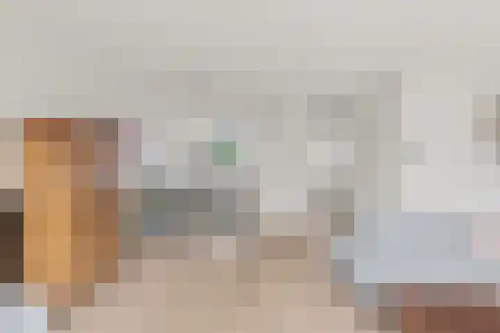 Vlastiende 4 Lekkerkerk thumbnail 9