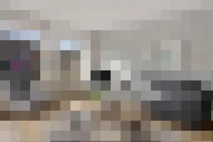 Vlasveld 29 Assen thumbnail 13