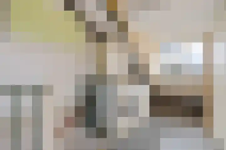 Vlasveld 29 Assen thumbnail 30