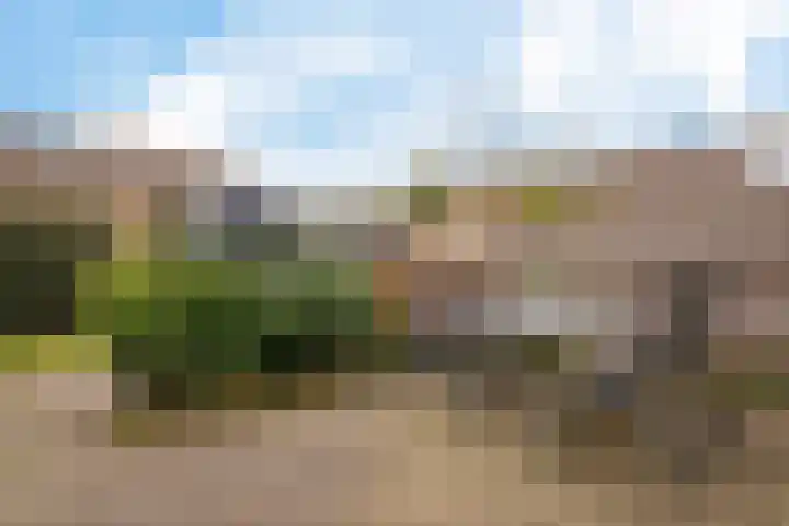 Vlasveld 29 Assen thumbnail 38