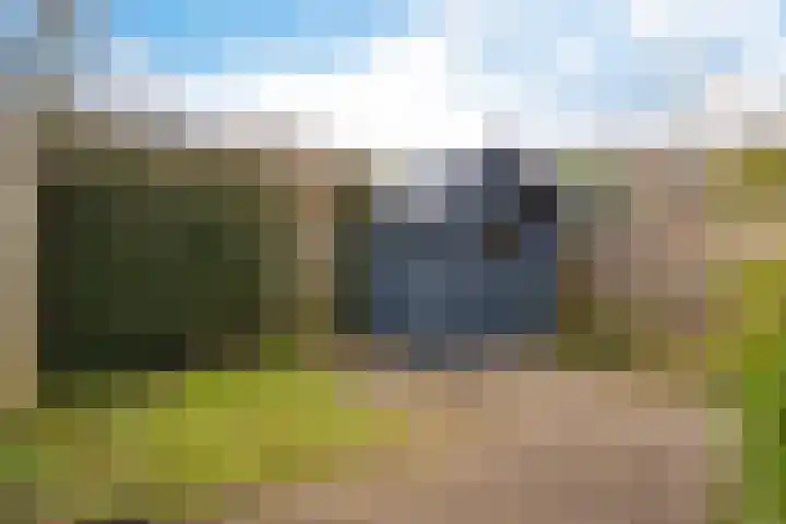 Vlasveld 29 Assen thumbnail 39