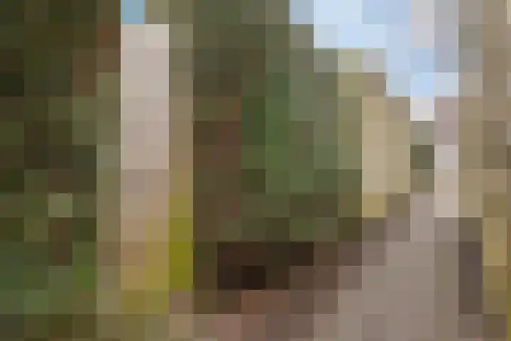 Vlasveld 29 Assen thumbnail 40