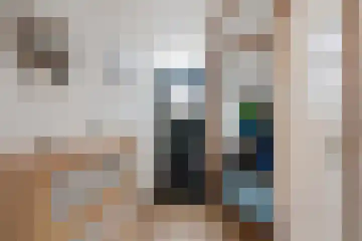 Vlasveld 29 Assen thumbnail 7