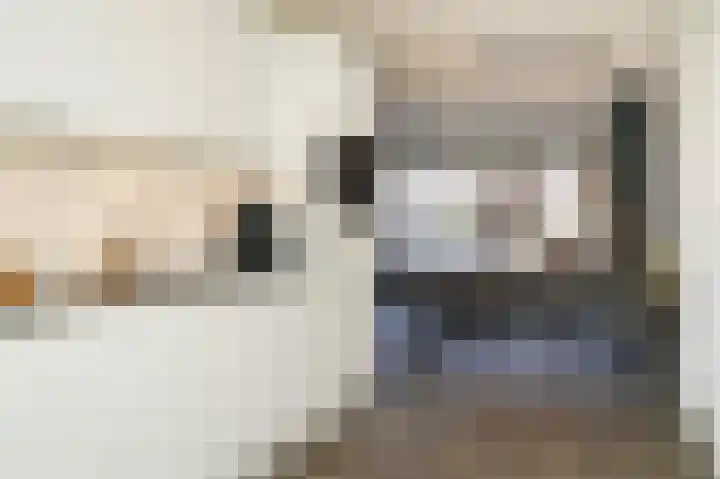Vlasveld 3 Beneden-Leeuwen thumbnail 11