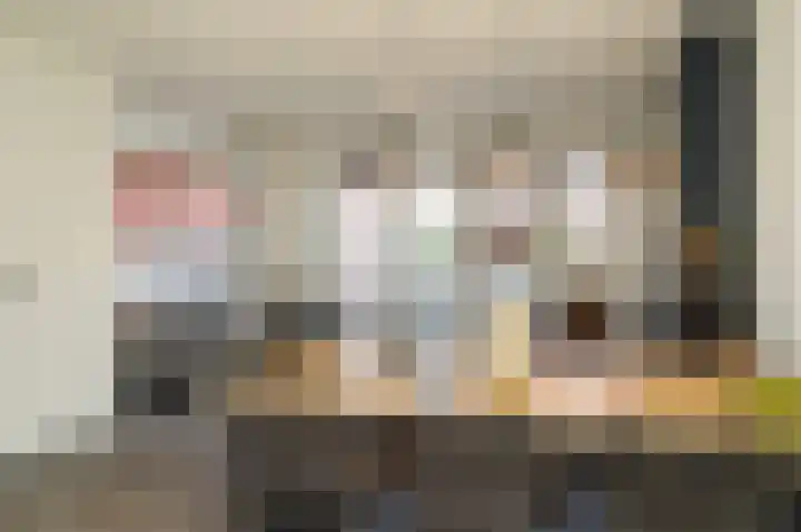 Vlasveld 3 Beneden-Leeuwen thumbnail 13