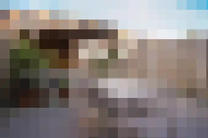 Vlasveld 3 Beneden-Leeuwen thumbnail 26