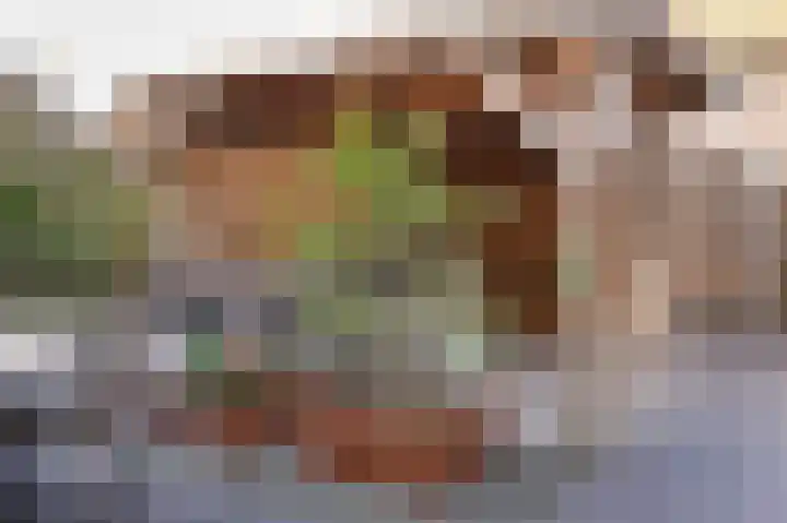 Vlasveld 3 Beneden-Leeuwen thumbnail 27