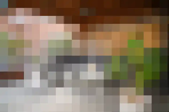 Vlasveld 3 Beneden-Leeuwen thumbnail 29