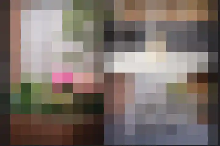 Vlasveld 3 Beneden-Leeuwen thumbnail 31