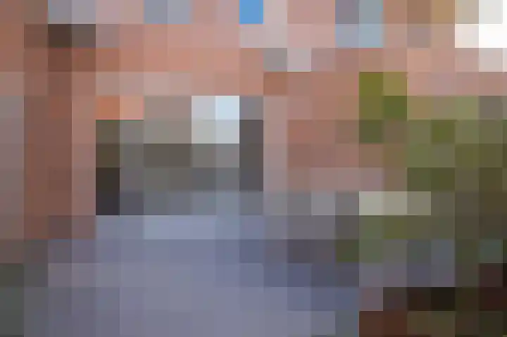 Vlasveld 3 Beneden-Leeuwen thumbnail 32