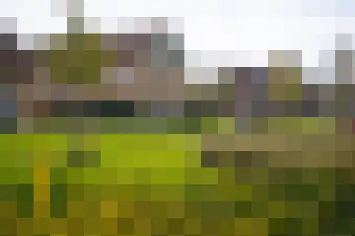 Vlasveld 3 Beneden-Leeuwen thumbnail 35