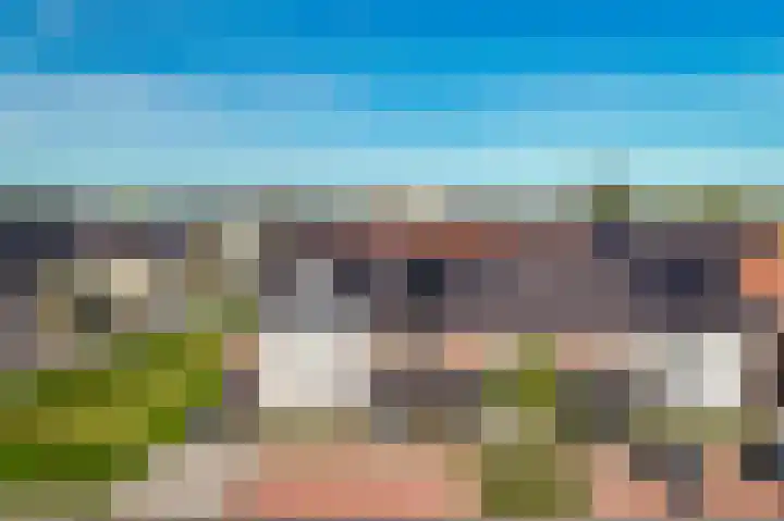 Vlasveld 3 Beneden-Leeuwen thumbnail 36