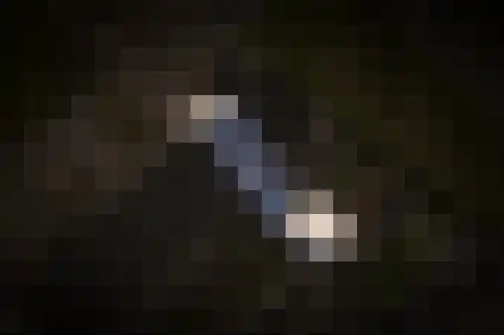 Vlasveld 3 Beneden-Leeuwen thumbnail 37