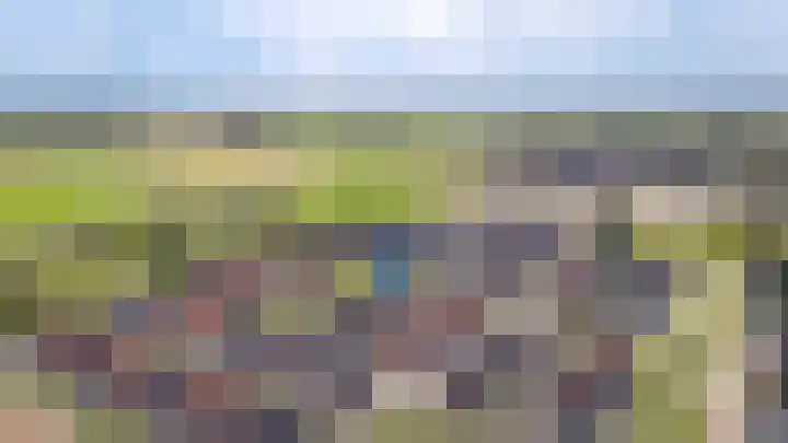 Vlasveld 3 Beneden-Leeuwen thumbnail 38