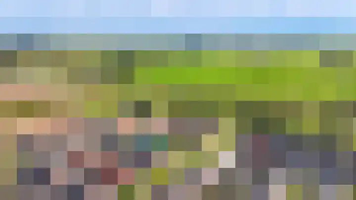 Vlasveld 3 Beneden-Leeuwen thumbnail 39