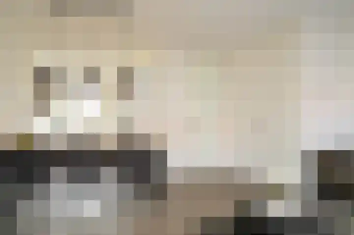 Vlasveld 3 Beneden-Leeuwen thumbnail 8
