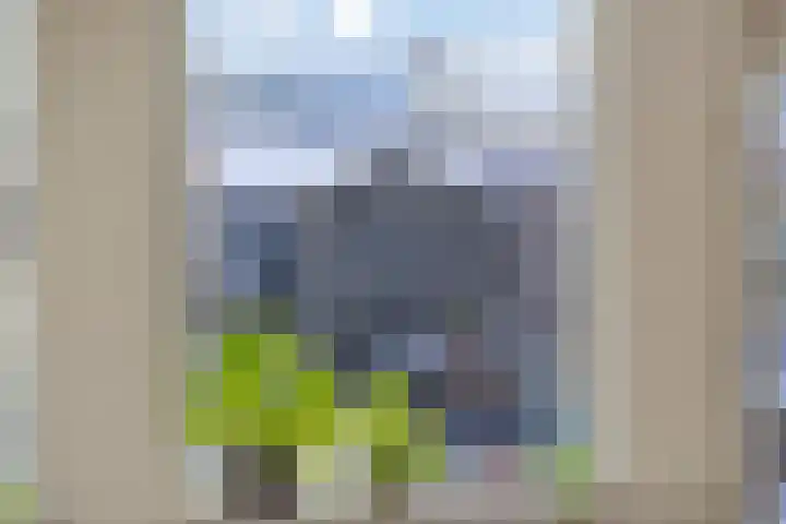 Vlasveld 34 Assen thumbnail 13