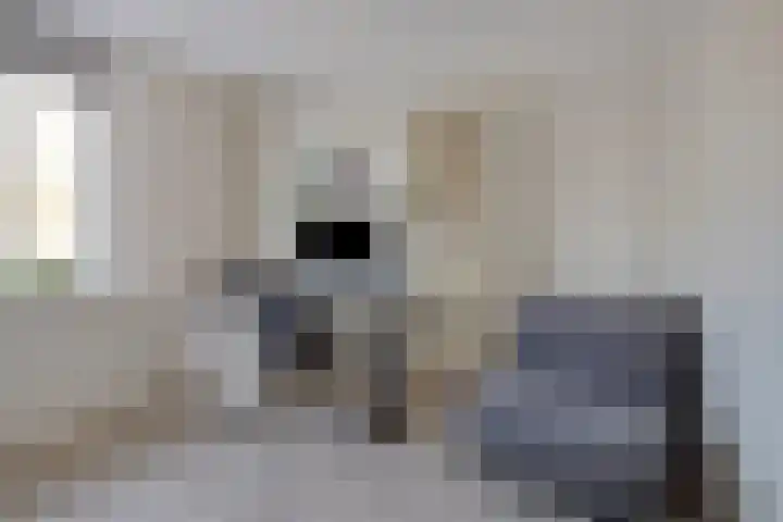 Vlasveld 34 Assen thumbnail 25