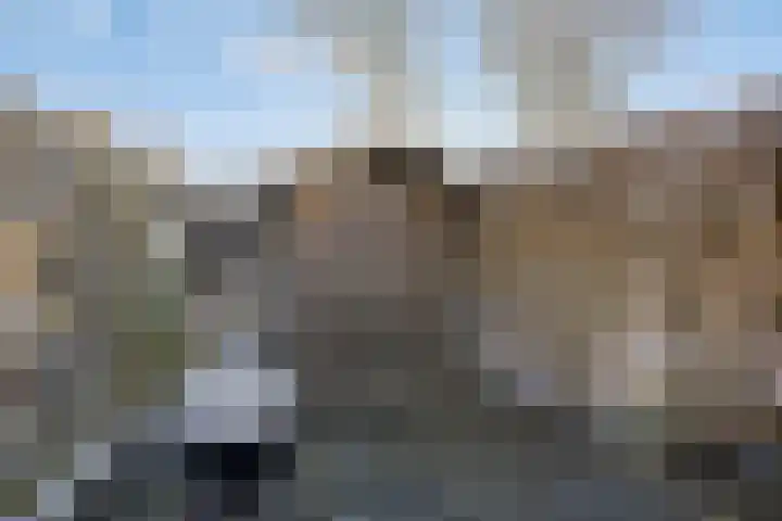 Vlasveld 34 Assen thumbnail 38