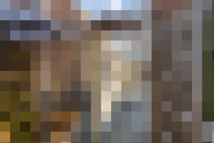 Vlasveld 34 Assen thumbnail 39