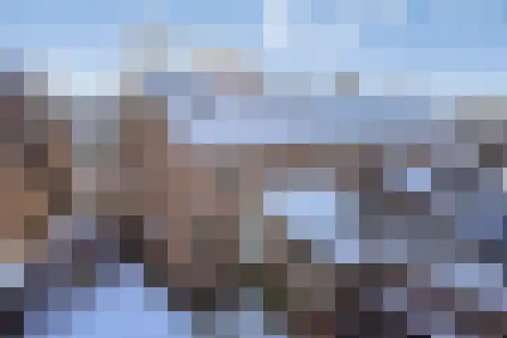 Vlasveld 34 Assen thumbnail 45