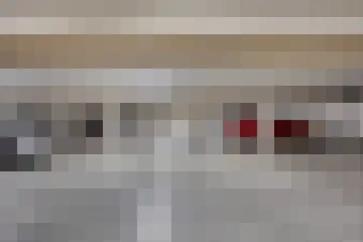 Vlasven 105 Veghel thumbnail 24