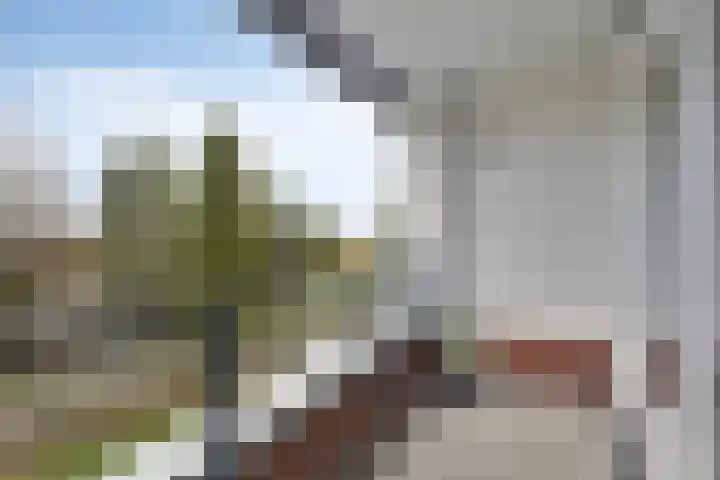 Vlasven 105 Veghel thumbnail 26