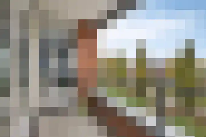 Vlasven 105 Veghel thumbnail 27