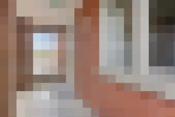 Vlasven 105 Veghel thumbnail 5