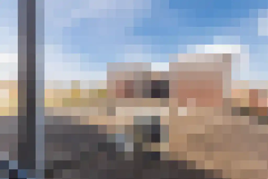 Vlasven 106 Veghel thumbnail 31