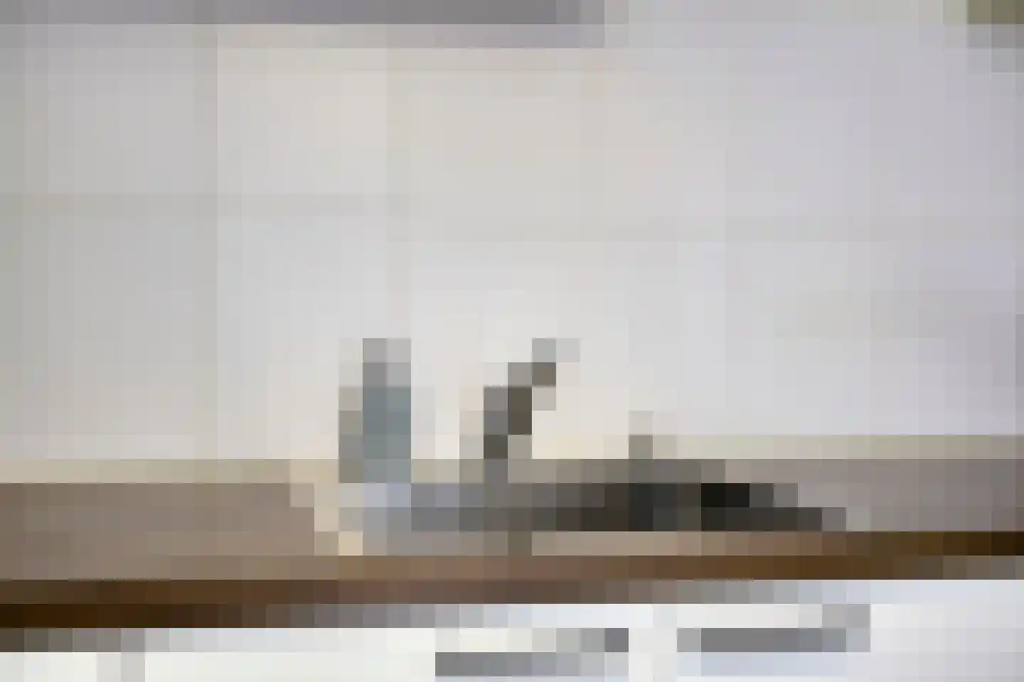 Vlasven 122 Veghel thumbnail 11