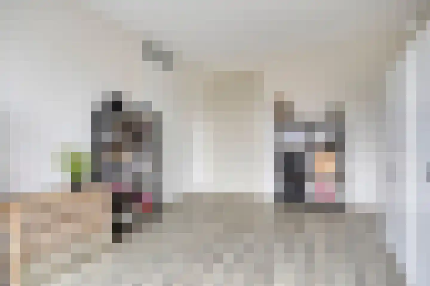 Vlasven 122 Veghel thumbnail 21