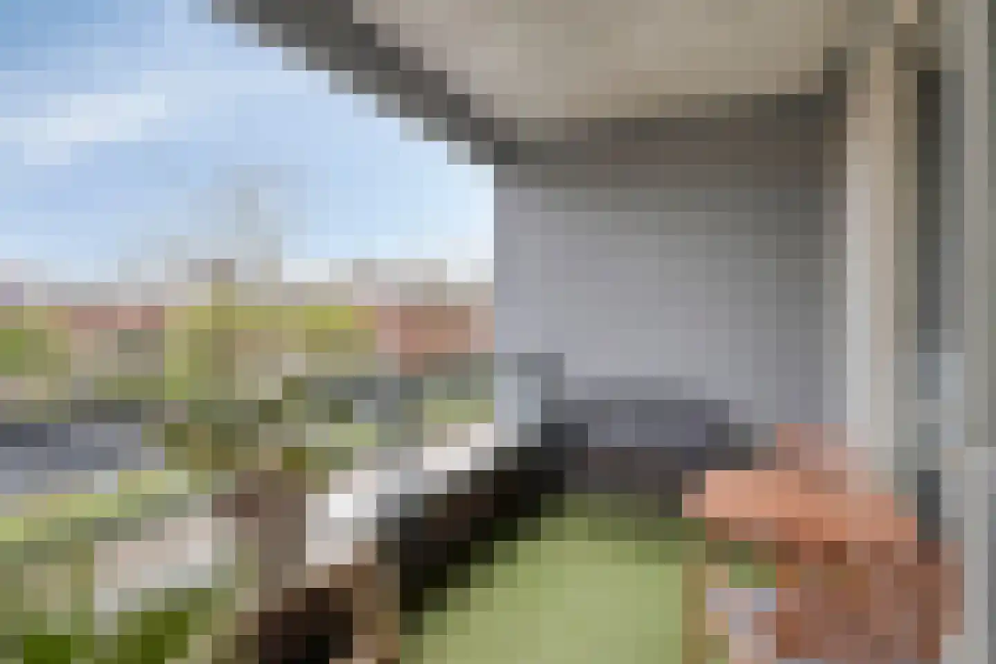 Vlasven 122 Veghel thumbnail 24