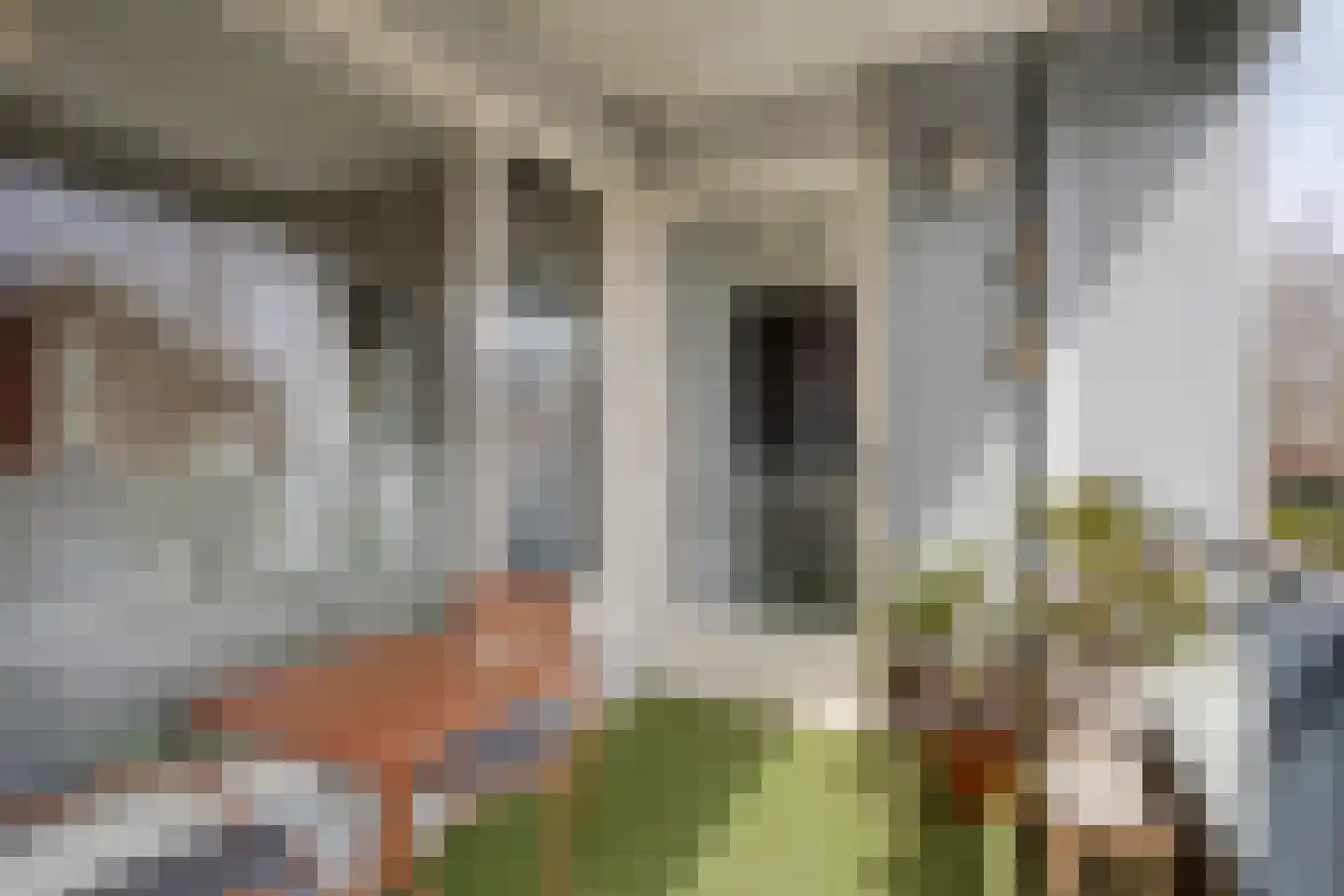 Vlasven 122 Veghel thumbnail 25