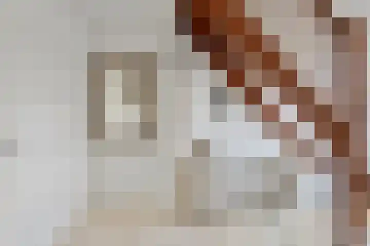 Vlasven 13 Eindhoven thumbnail 10