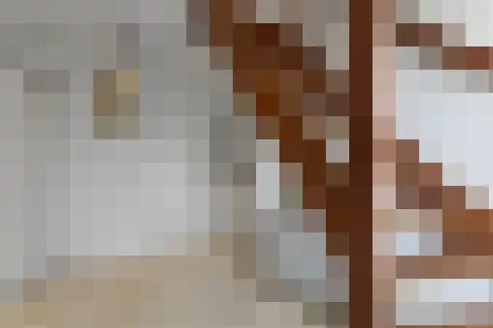 Vlasven 13 Eindhoven thumbnail 11