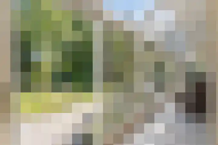 Vlasven 13 Eindhoven thumbnail 15