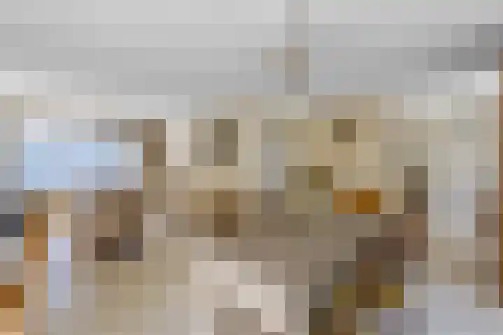 Vlasven 13 Eindhoven thumbnail 16