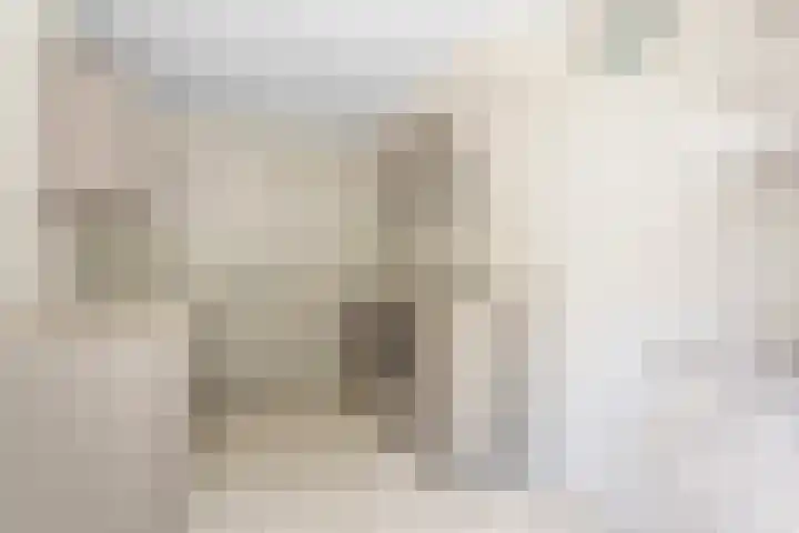 Vlasven 13 Eindhoven thumbnail 18