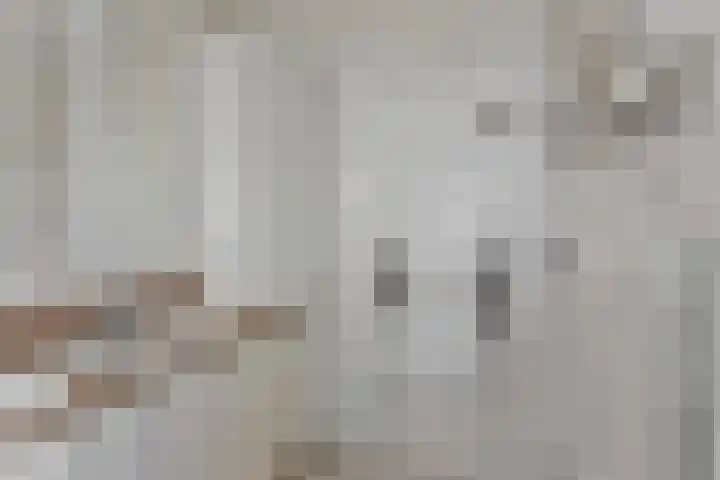 Vlasven 13 Eindhoven thumbnail 24