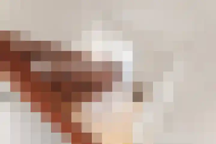 Vlasven 13 Eindhoven thumbnail 25