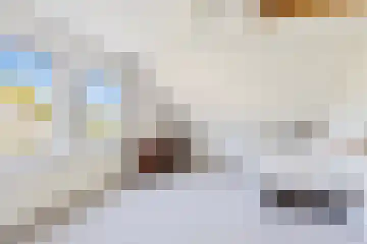 Vlasven 13 Eindhoven thumbnail 30