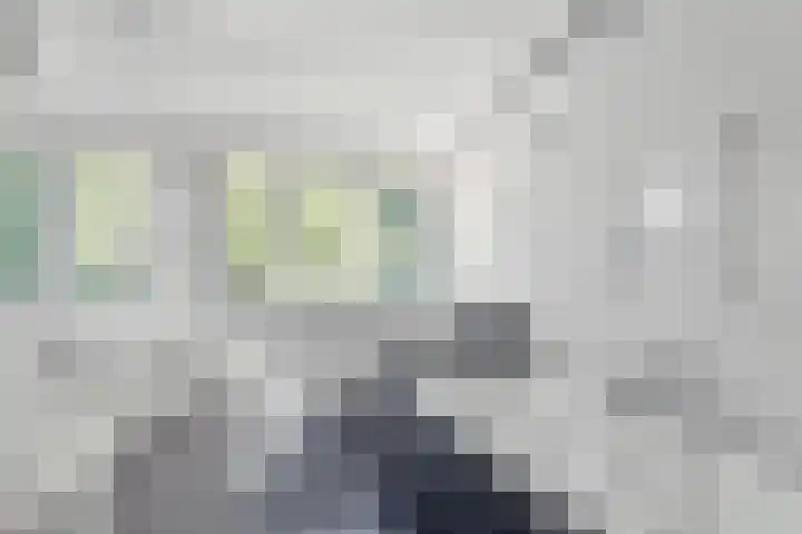 Vlasven 13 Eindhoven thumbnail 32