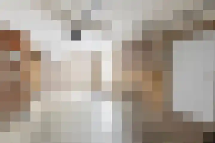 Vlasven 13 Eindhoven thumbnail 36