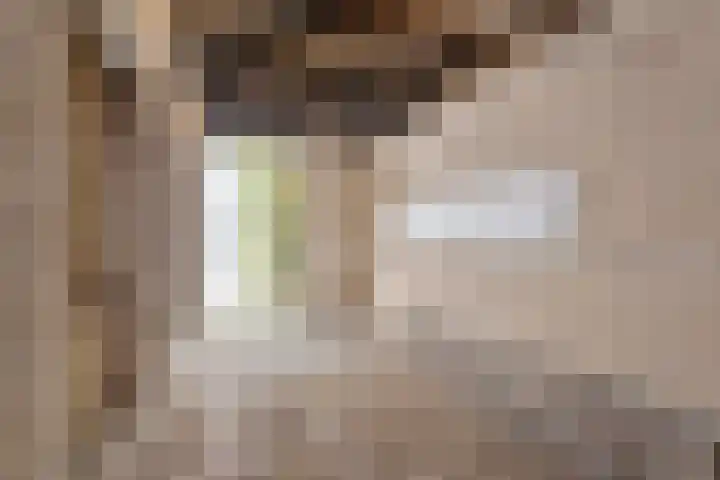 Vlasven 13 Eindhoven thumbnail 37