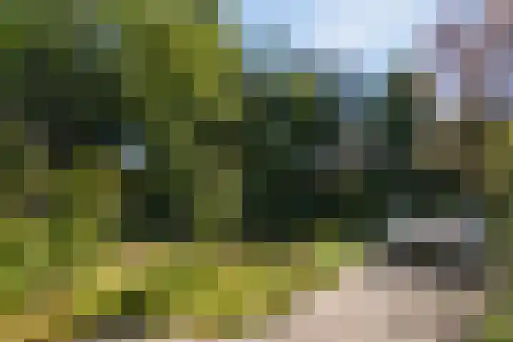 Vlasven 13 Eindhoven thumbnail 38