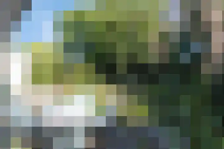 Vlasven 13 Eindhoven thumbnail 39